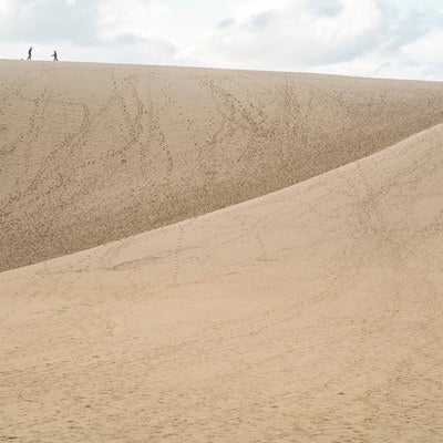 蟻のように見える観光客と鳥取砂丘の写真