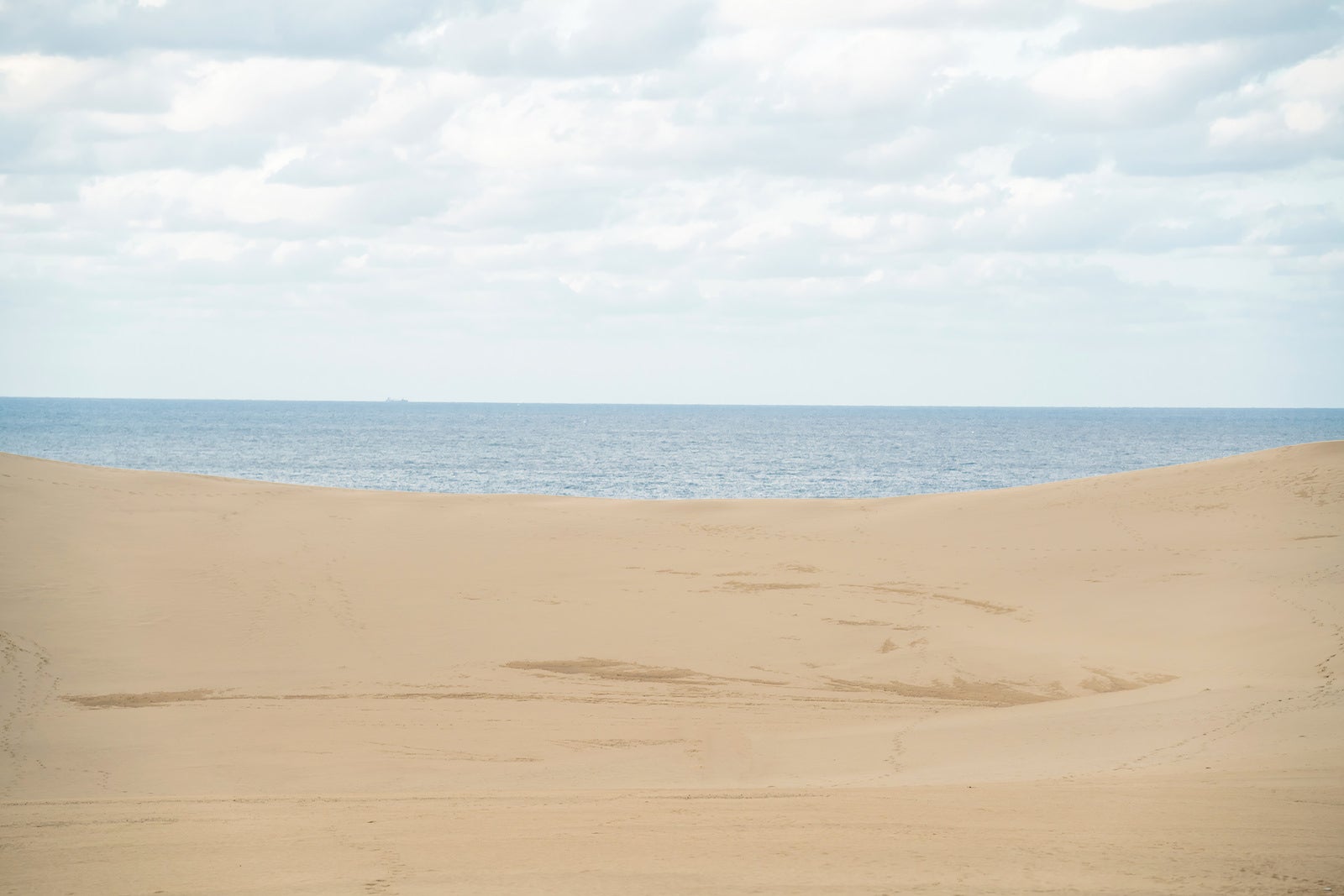「水平線と鳥取砂丘」の写真