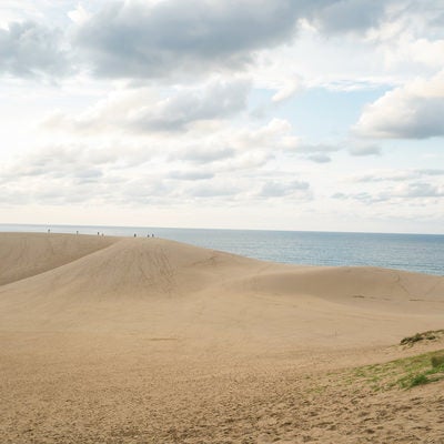 砂丘から望む水平線の写真