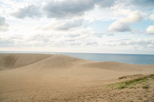 砂丘から望む水平線の写真