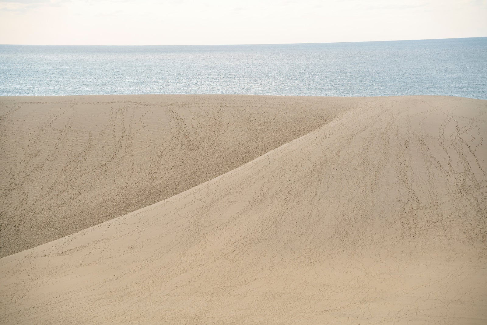 「鳥取砂丘から望む日本海」の写真