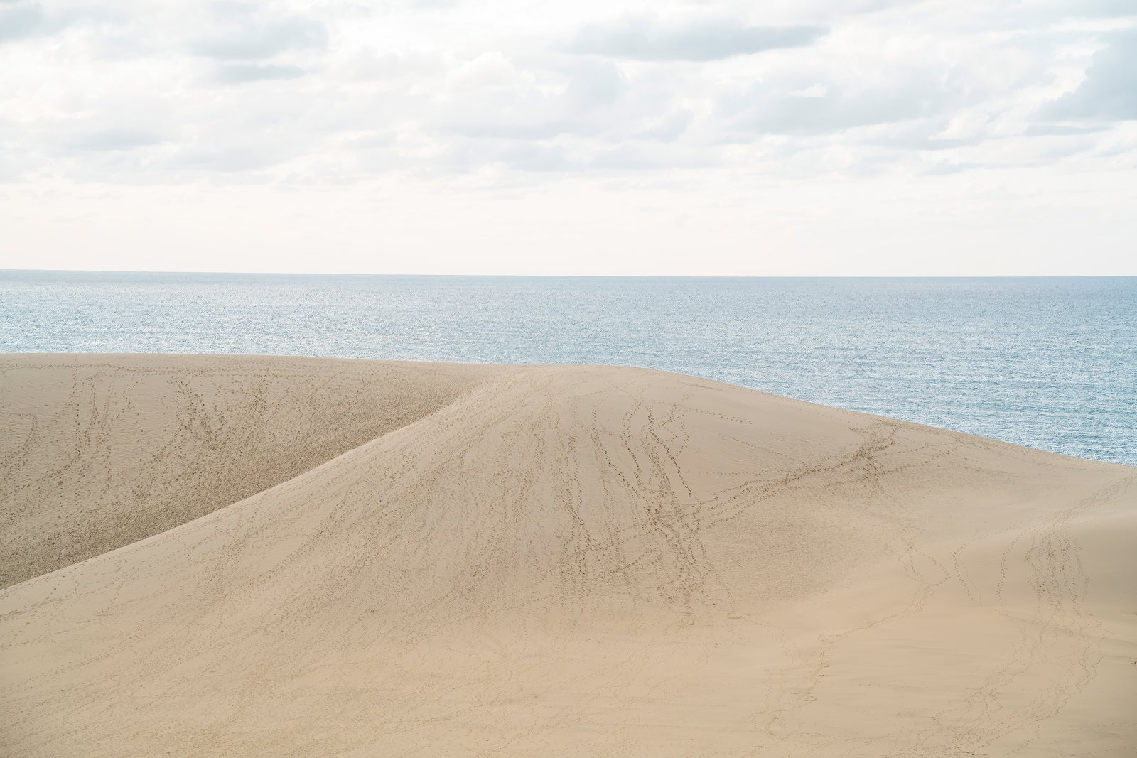 「砂丘越しの日本海の水平線」の写真