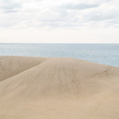 砂丘越しの日本海の水平線の写真