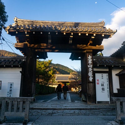 紅葉の見頃を知らせる看板が掲げられた天龍寺総門の写真