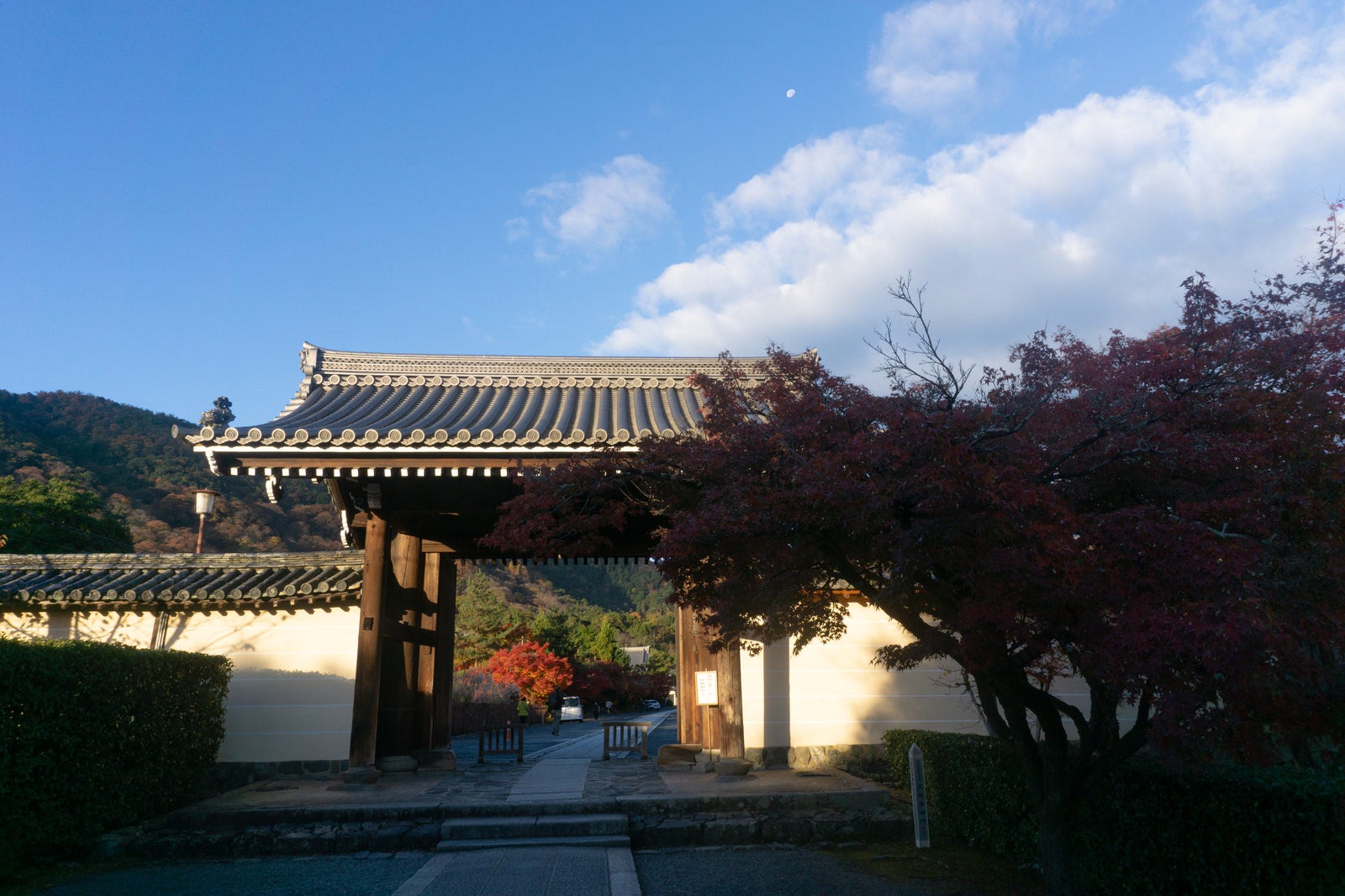 「朝日を浴びて建つ天龍寺の中門と空に小さく残る月」の写真