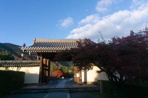 朝日を浴びて建つ天龍寺の中門と空に小さく残る月の写真