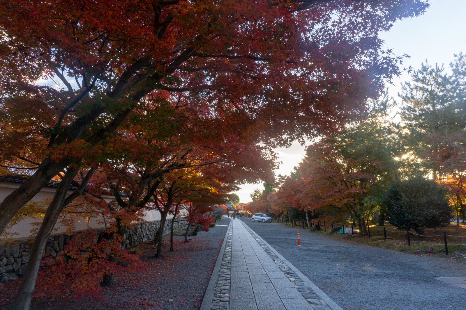 「天龍寺庫裏側から見た中門に向かう紅葉に囲まれた参道」の写真