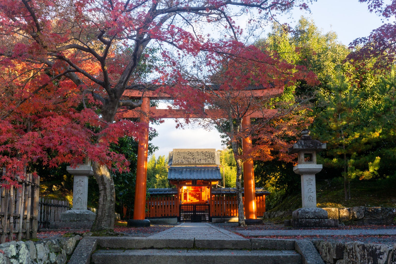 「天龍寺庫裏へと向かう途中に見える八幡宮とその鳥居を彩る紅葉」の写真