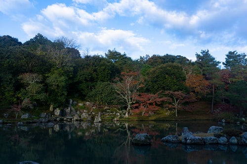 曹源池のほとりに立つ紅葉した木々と滝石組の写真