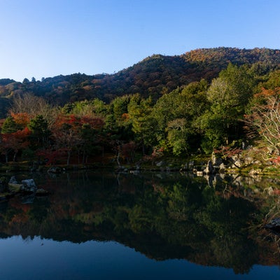 紅葉に彩られる曹源池の水鏡の写真
