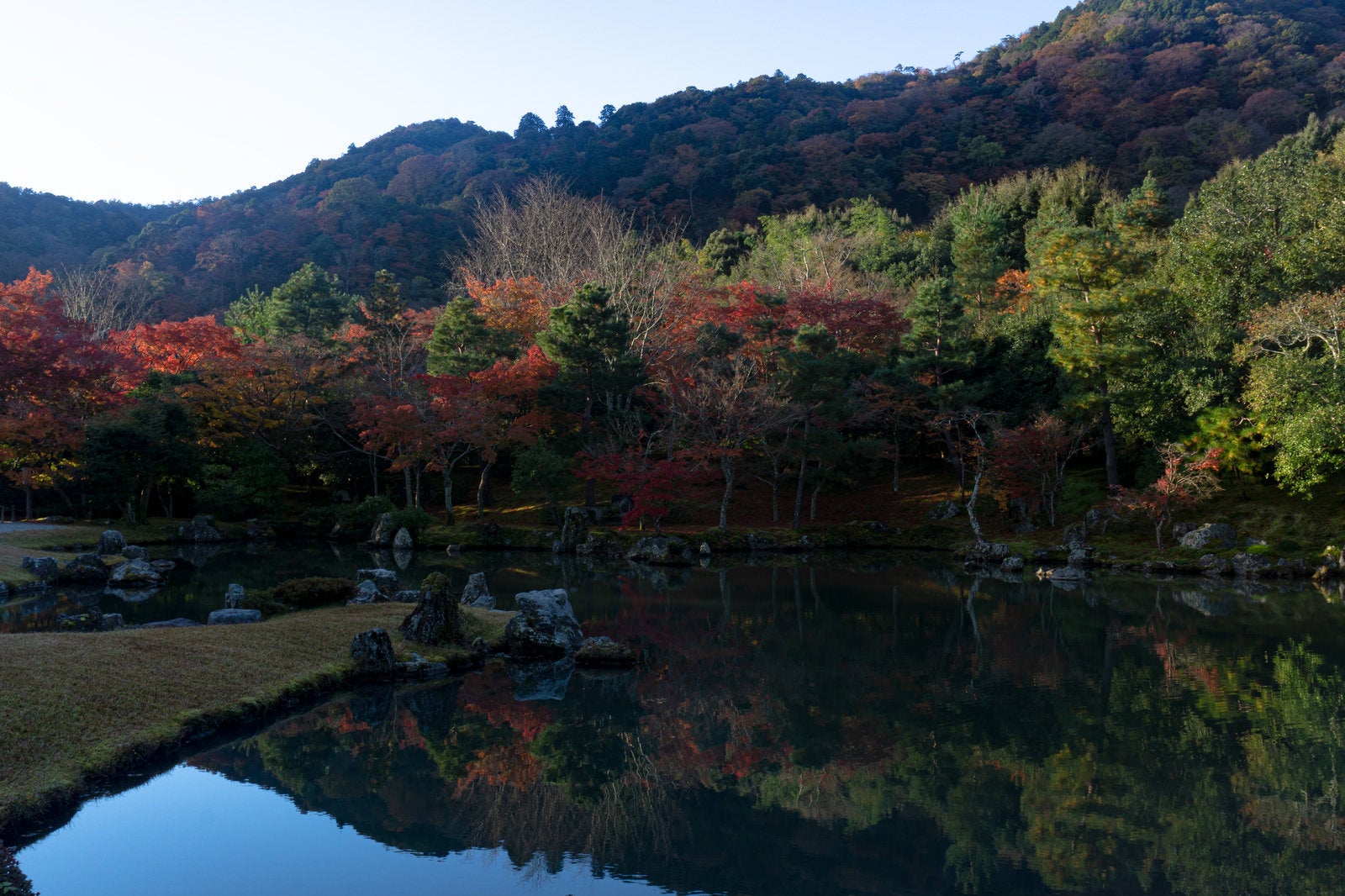 「差し込む朝日に照らされる池を囲む木々」の写真