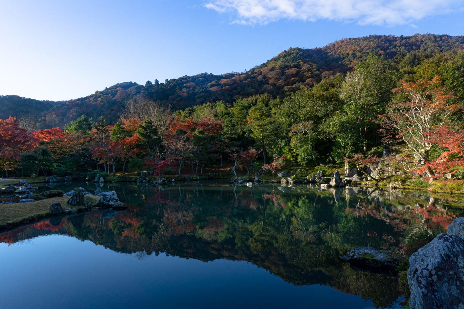 「赤と緑に彩られる秋の曹源池庭園と奥に見える紅葉した嵐山」の写真
