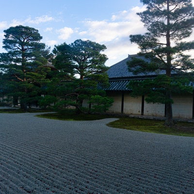 朝のまだ日の届かない天龍寺石庭の写真