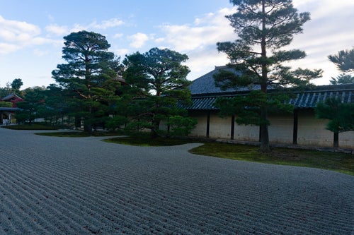 朝のまだ日の届かない天龍寺石庭の写真