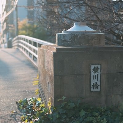 横川橋に伸びる影（東京都墨田区）の写真