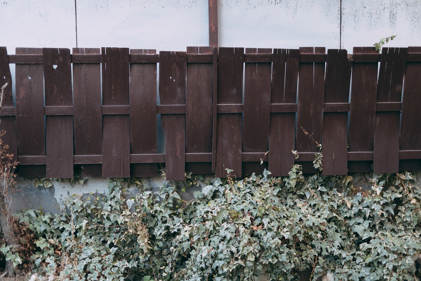 「反り返った木製の目隠しフェンス」の写真