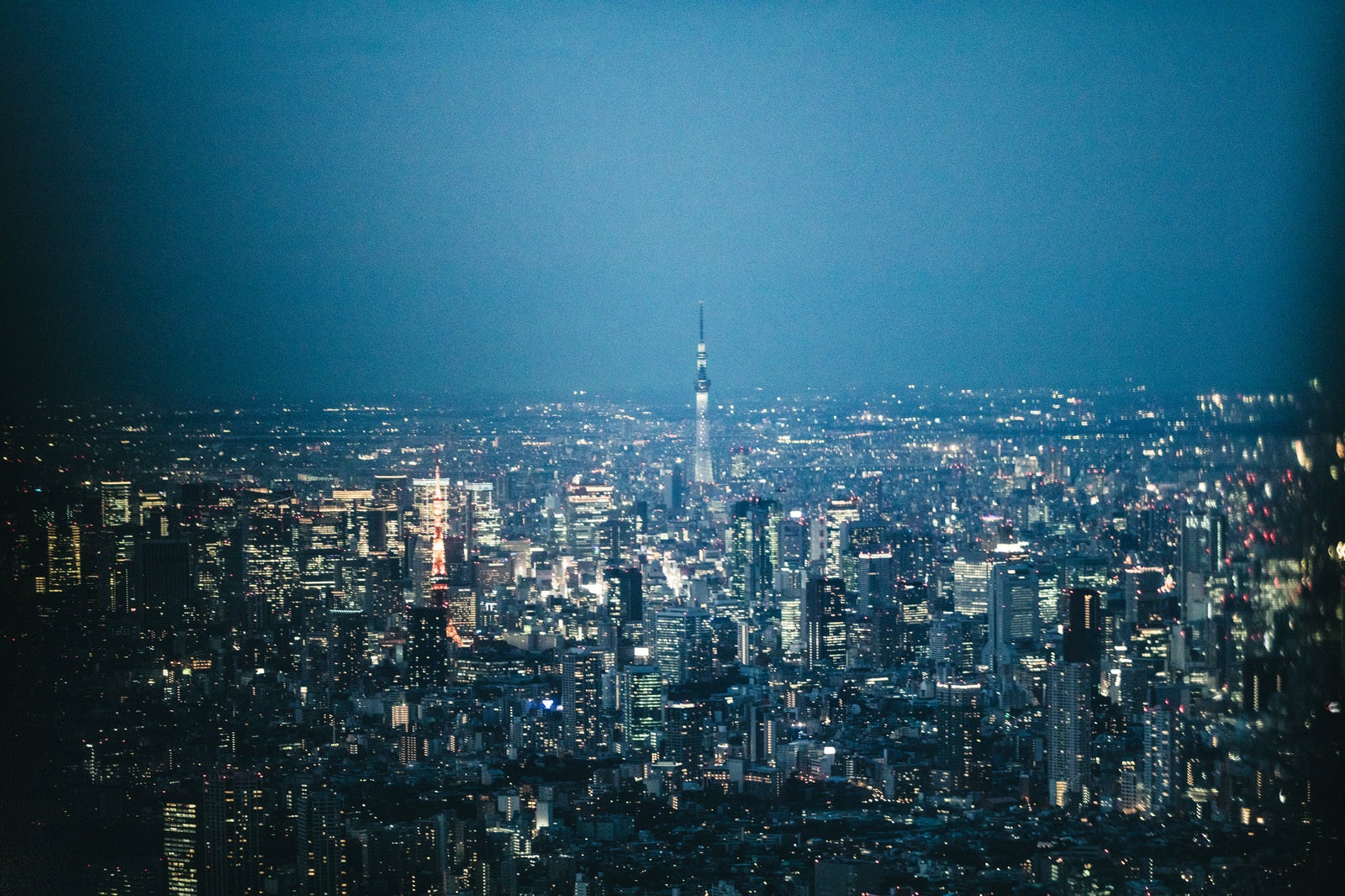 「東京タワーとスカイツリーを見下ろす」の写真