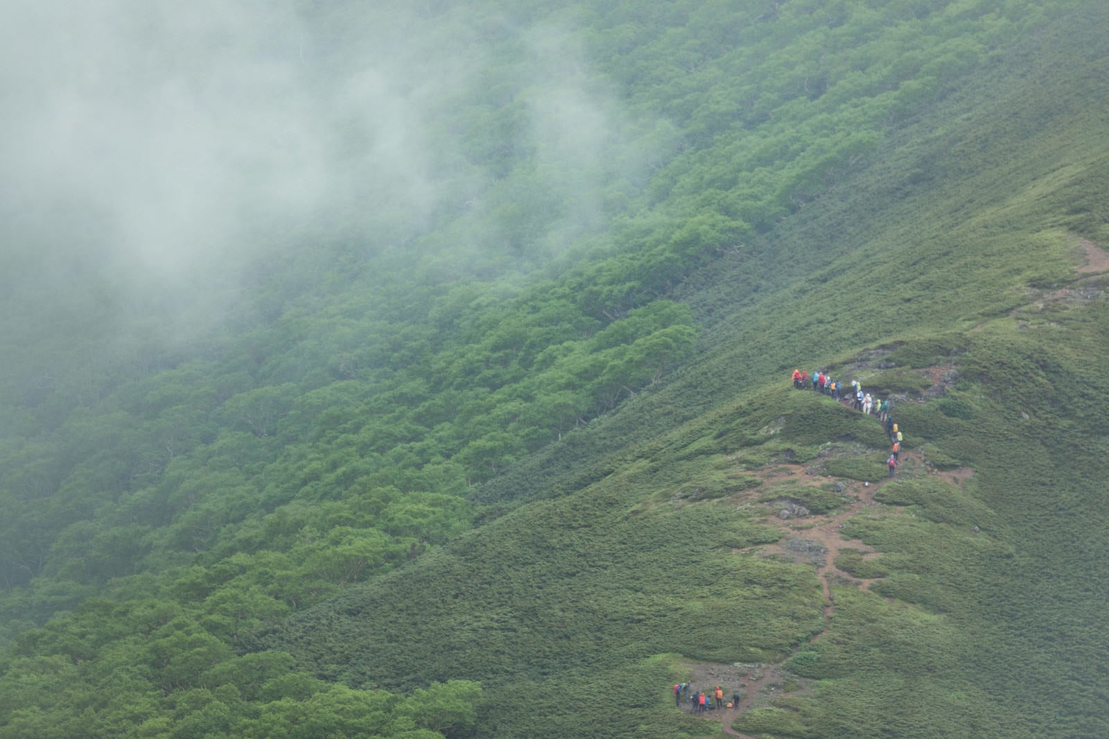 「森林限界付近を歩く登山者達」の写真