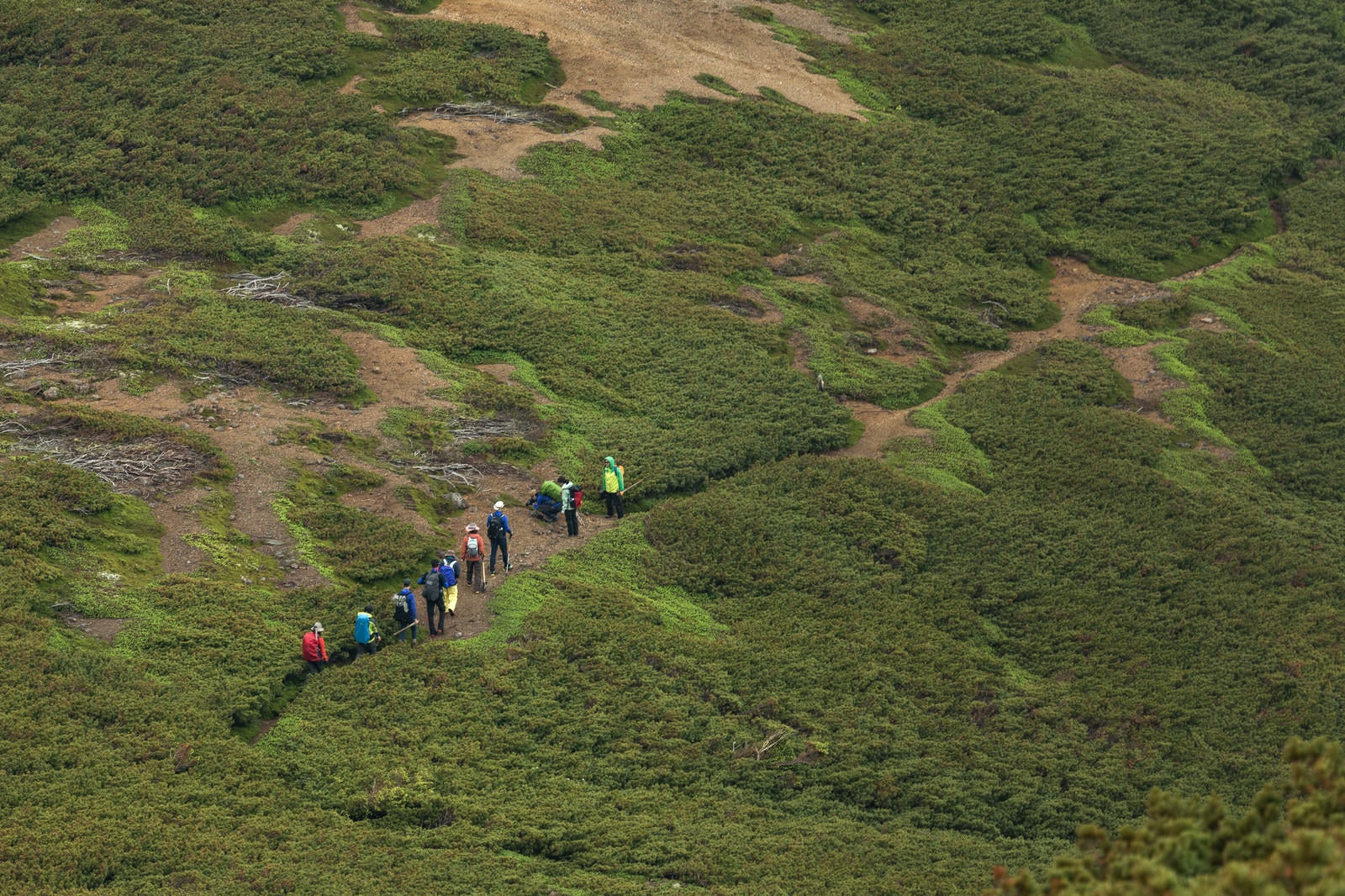 「乗鞍新登山道を歩く登山者の列」の写真