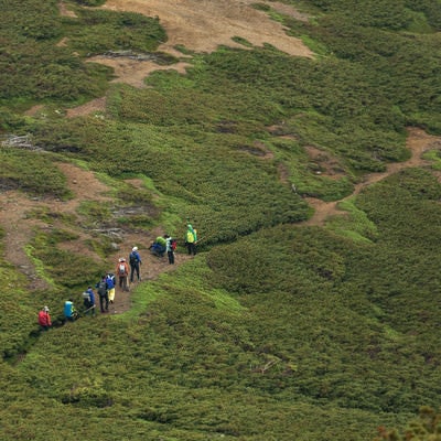 乗鞍新登山道を歩く登山者の列の写真