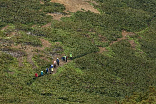 乗鞍新登山道を歩く登山者の列の写真