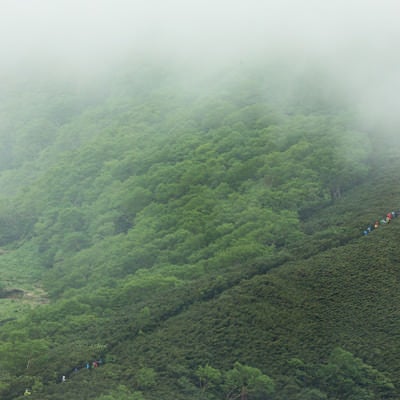 霧が多い山の中をすすむ登山者一行の写真