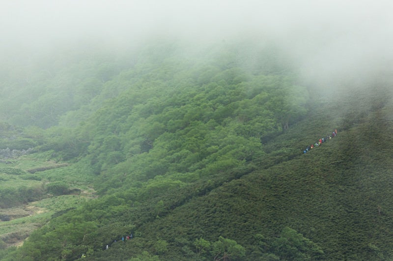 霧が多い山の中をすすむ登山者一行の写真