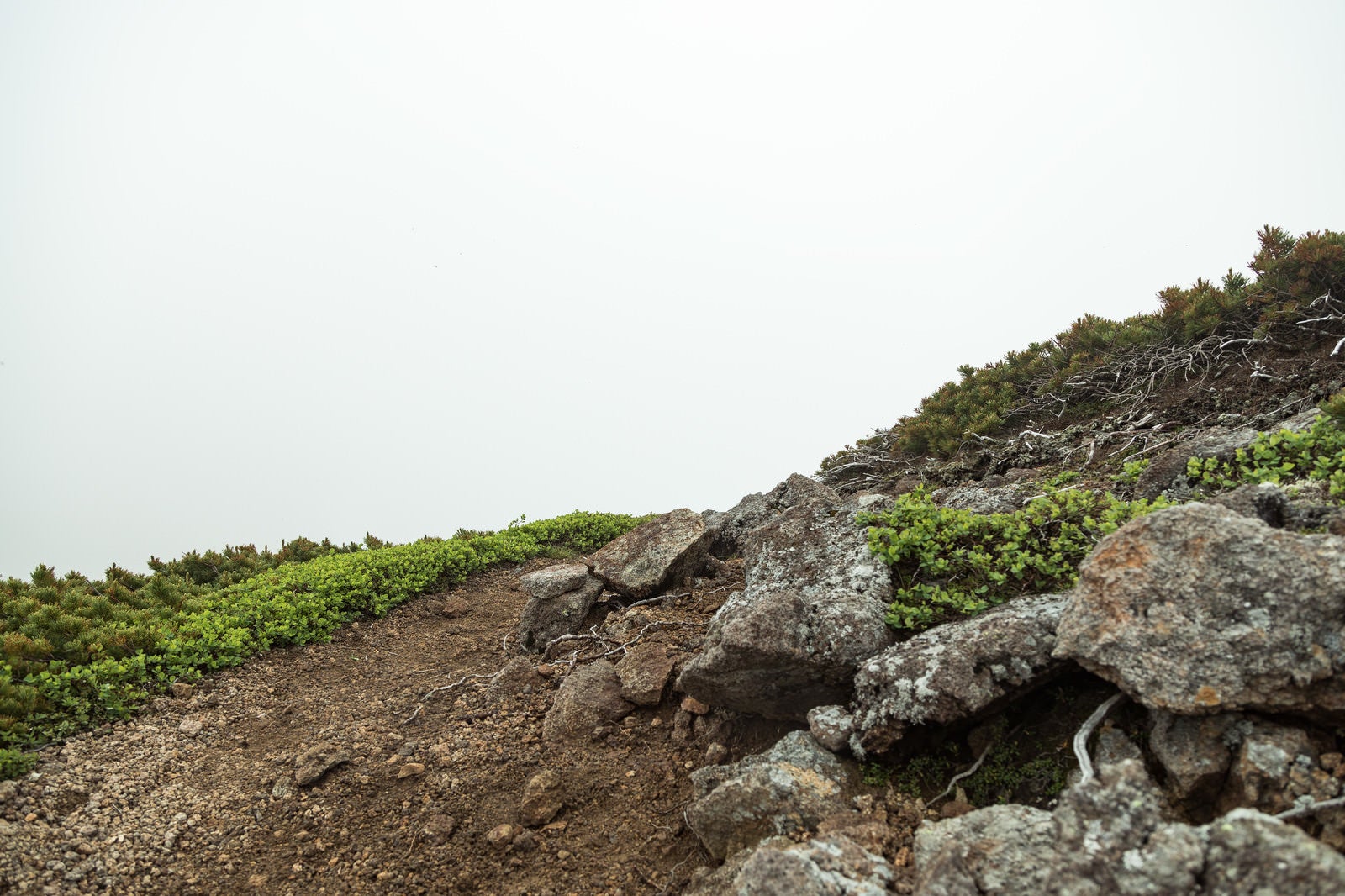 「辺りが霧で真っ白な登山道」の写真