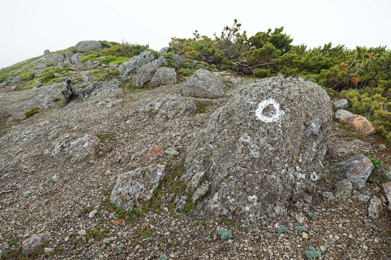 「登山ルートの目印が書かれた岩」の写真