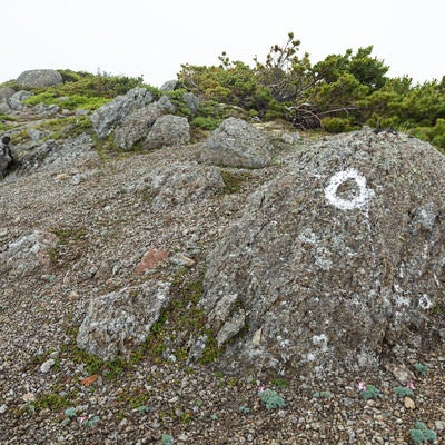 登山ルートの目印が書かれた岩の写真