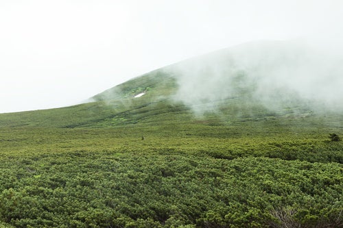 ガスりはじめた山（森林限界）の写真