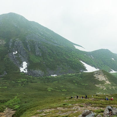7月なのにまだ雪が残る乗鞍新登山道を歩く登山者の写真