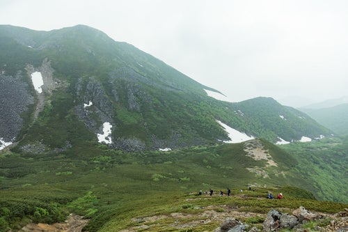 7月なのにまだ雪が残る乗鞍新登山道を歩く登山者の写真