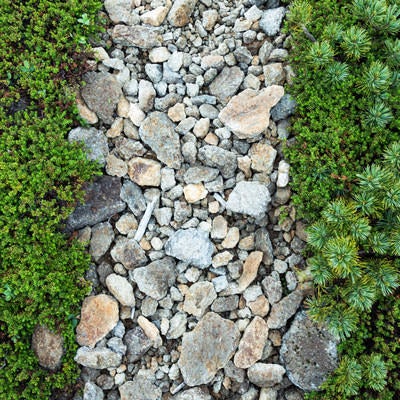 石の道（乗鞍新登山道）の写真