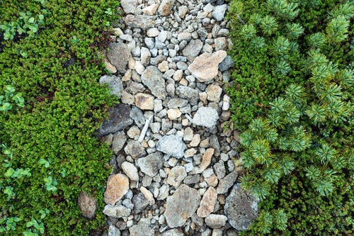 石の道（乗鞍新登山道）の写真