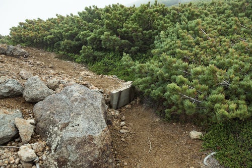 乗鞍新登山道の整備された木の階段の写真
