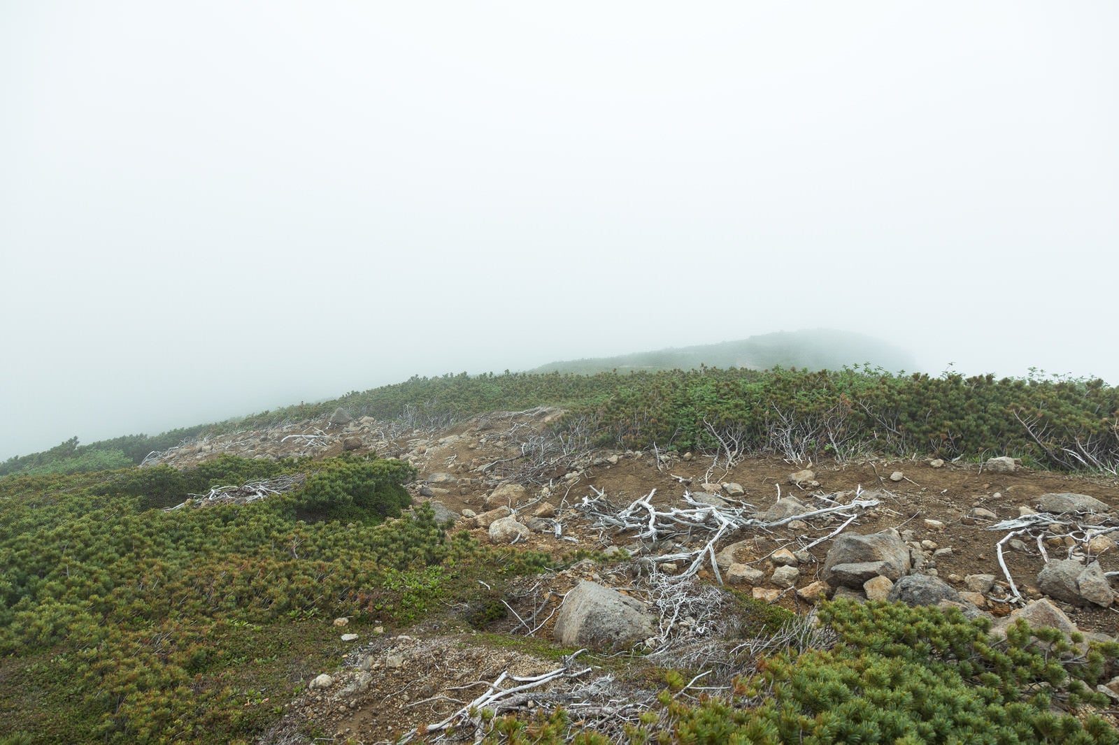 「霧で頂上が見えない（乗鞍新登山道）」の写真