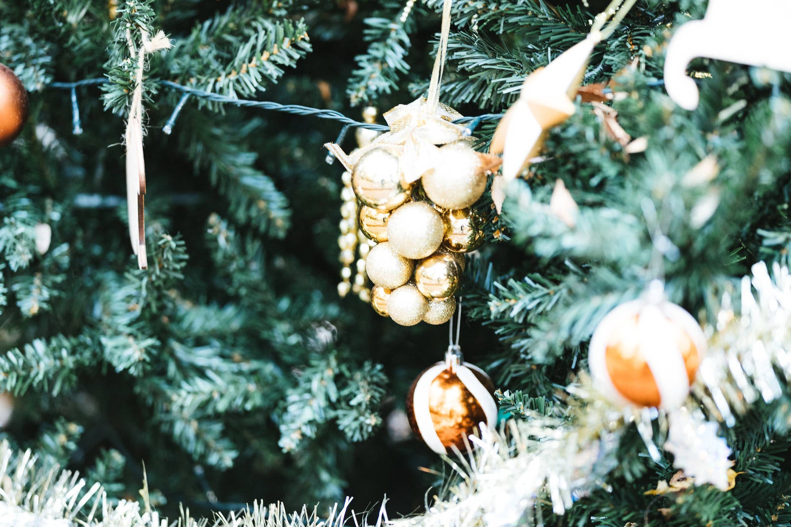「xmas tree（クリスマスツリー）」の写真
