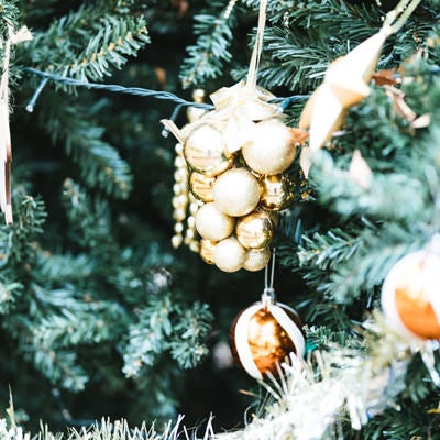xmas tree（クリスマスツリー）の写真