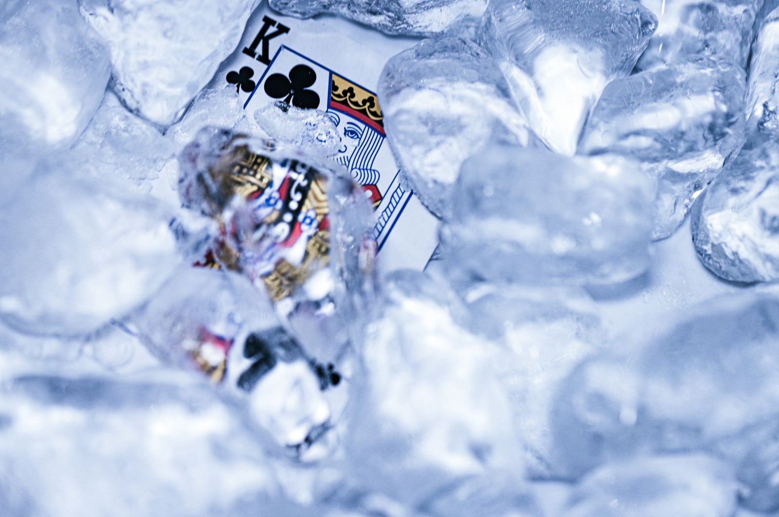 「トランプのキング氷漬けに」の写真