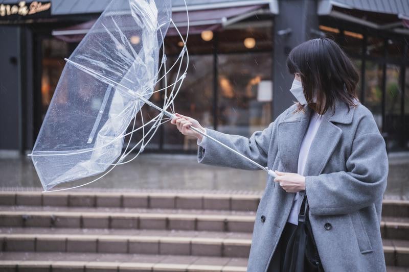 持ってみな 飛ぶぞの写真