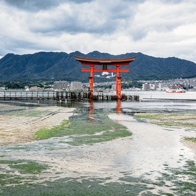厳島神社大鳥居から望む広島の山の写真