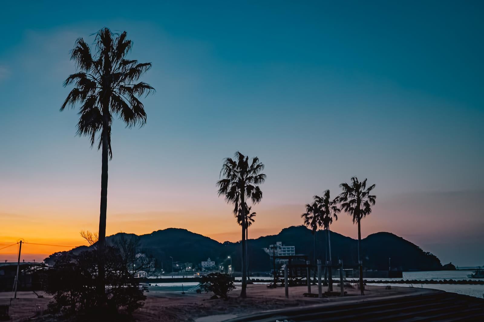 「夕暮れに染まる海辺のヤシの木と静かな港町のシルエット」の写真
