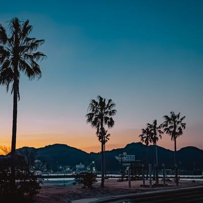 夕暮れに染まる海辺のヤシの木と静かな港町のシルエットの素材
