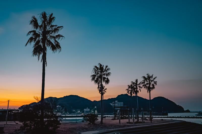 夕暮れに染まる海辺のヤシの木と静かな港町のシルエットの写真