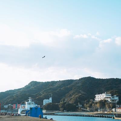 海辺に停泊するフェリーと背後に広がる緑豊かな山々の写真