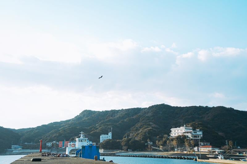 海辺に停泊するフェリーと背後に広がる緑豊かな山々の写真