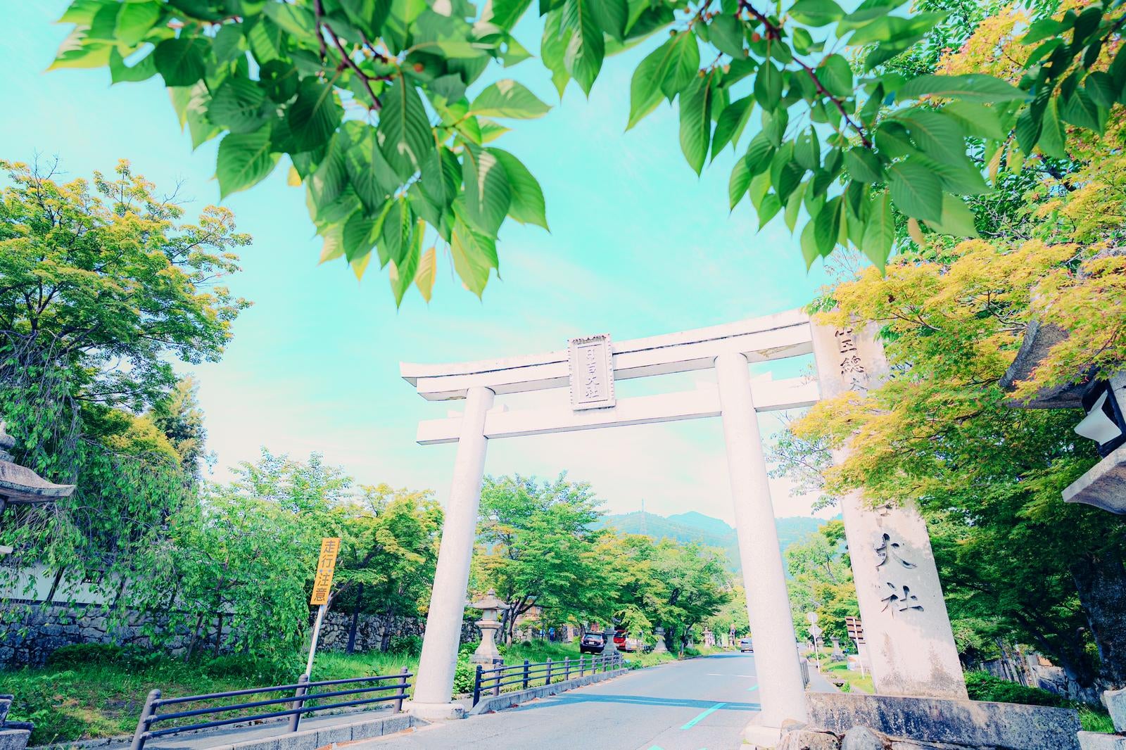 「滋賀県大津市比叡山春日大社の鳥居前」の写真