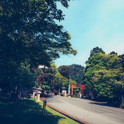 緑に包まれた参道と赤い鳥居が映える春日大社の素材