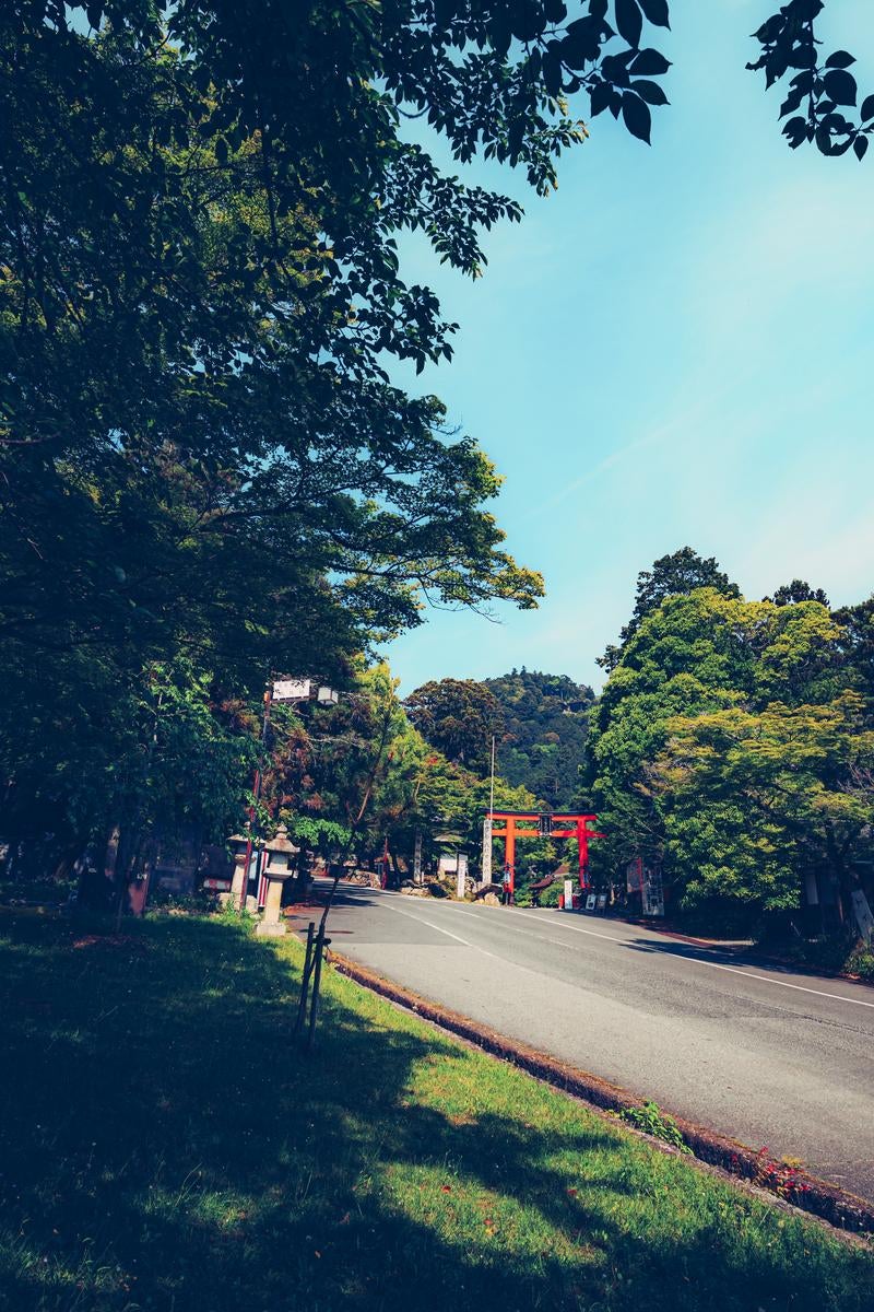 緑に包まれた参道と赤い鳥居が映える春日大社の写真